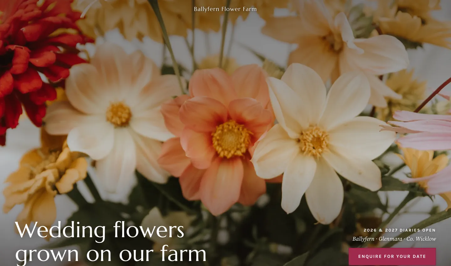 Ballyfern Flower Farm demo design, photo-led and bold